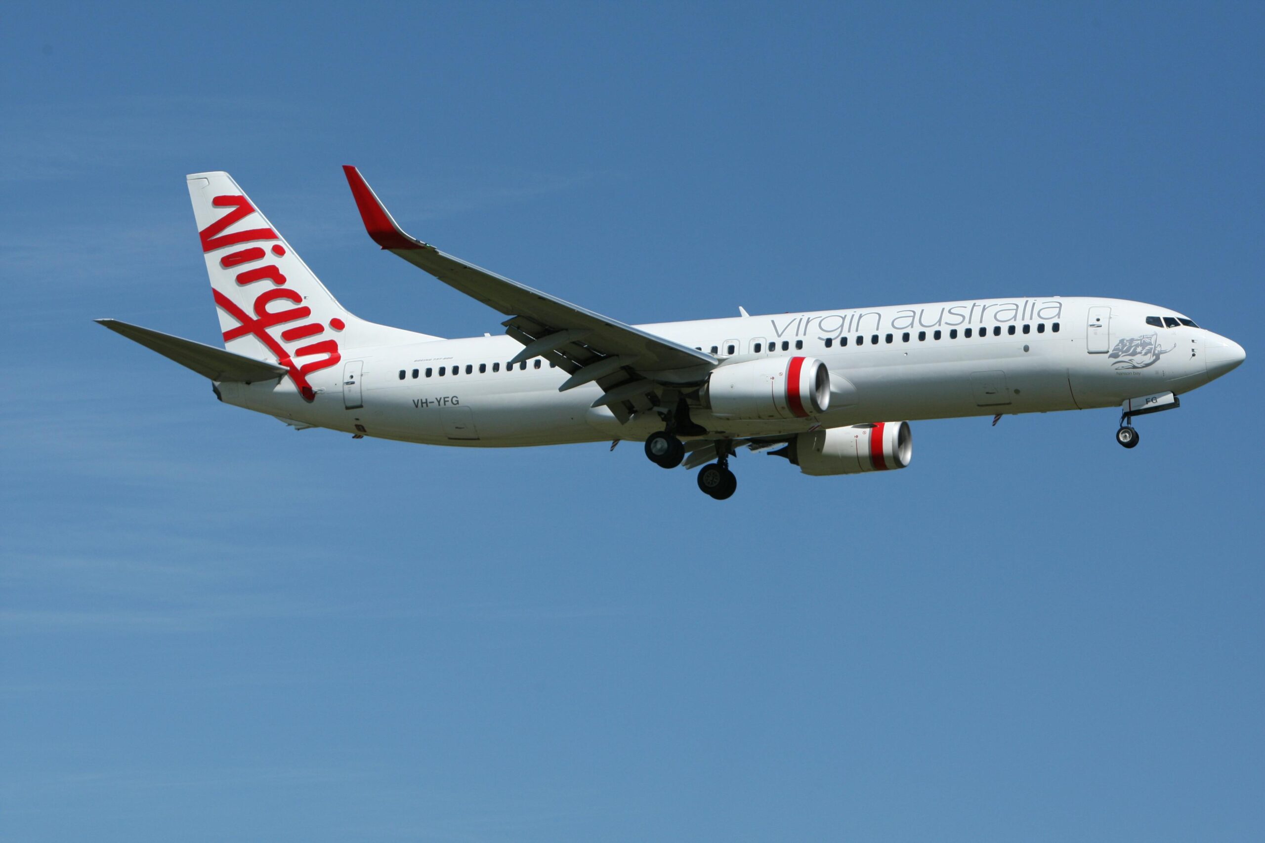 Virgin Australia will allow small pets on cabin