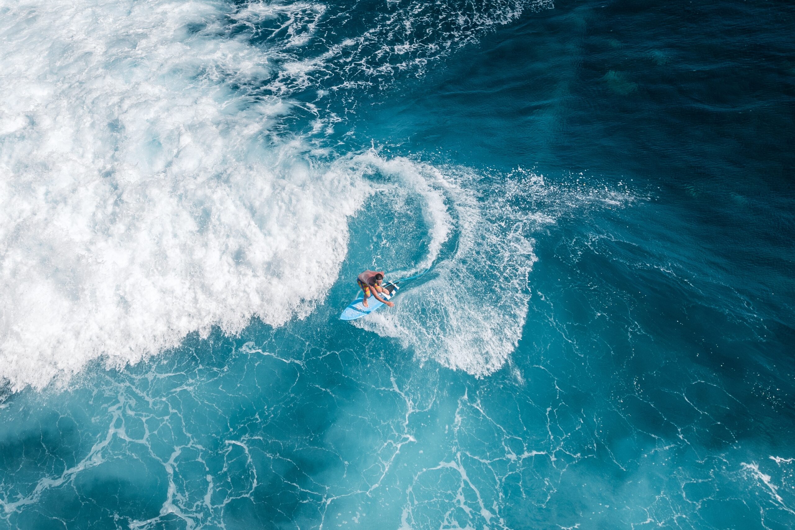22-year-old Australian Molly Picklum becomes the World Surf Champion