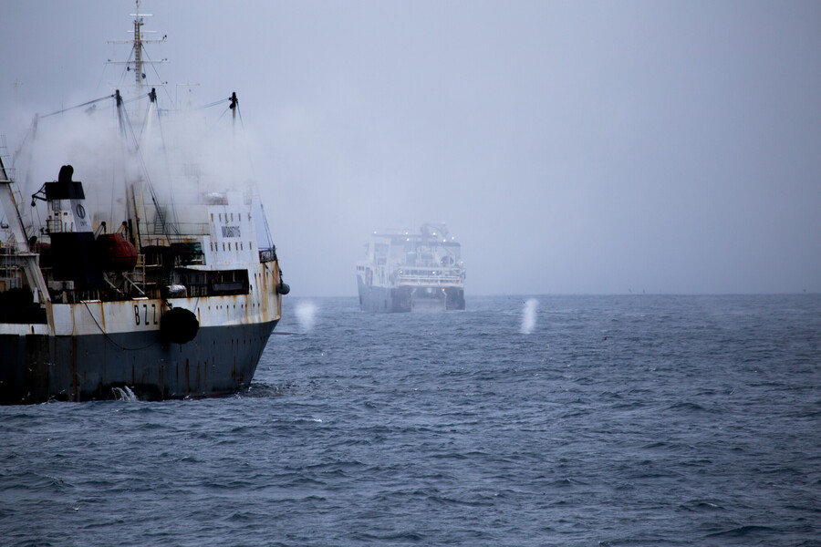 Moratorium on protecting Antarctic kriller needed