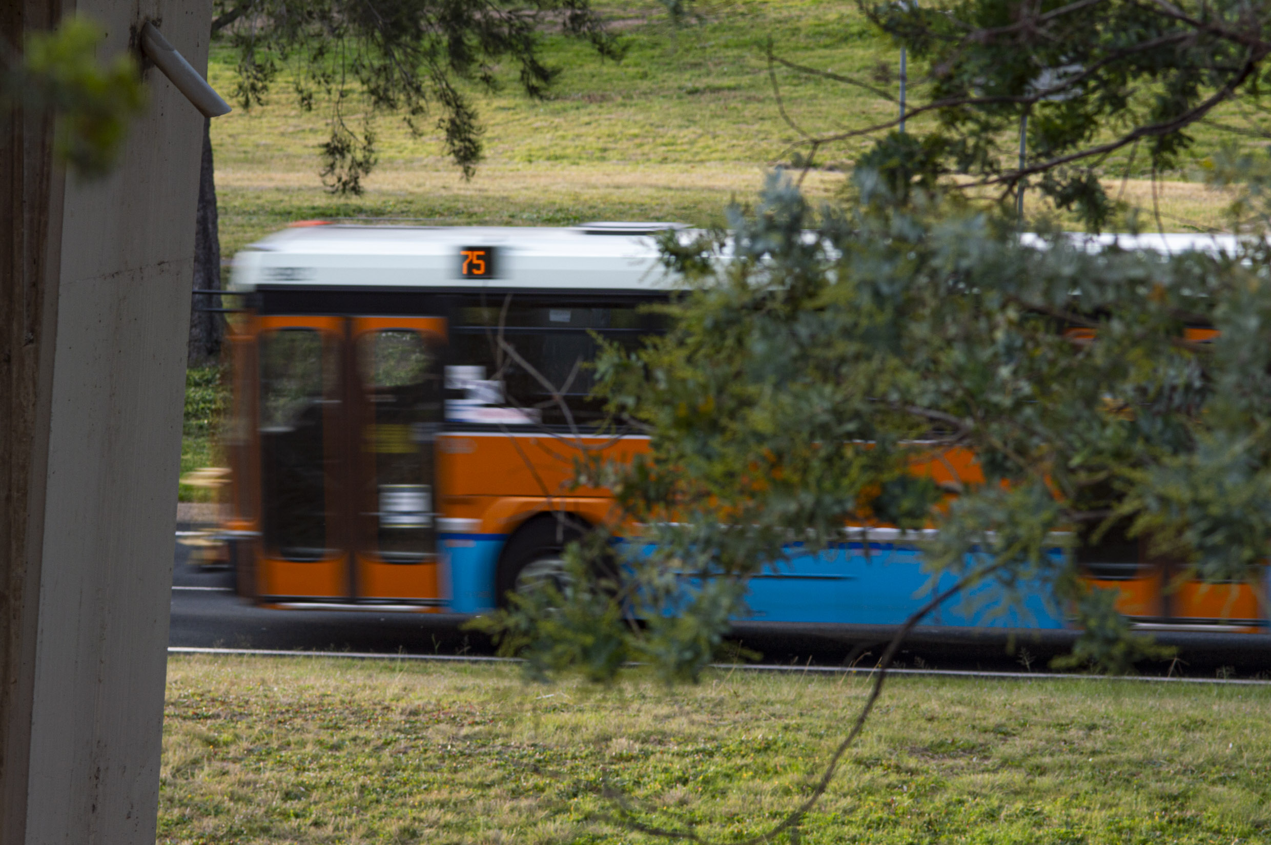 ACT Government to introduce monthly fare caps on public transport episode artwork