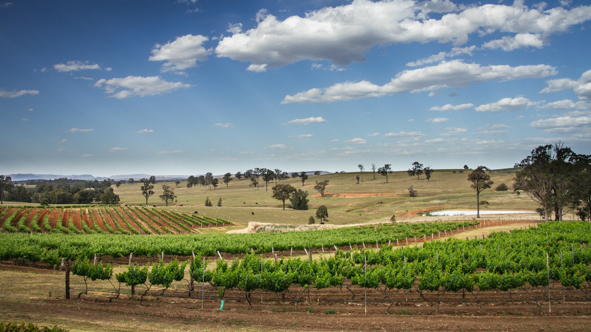 Hunter Valley concerned about climate change: poll episode artwork