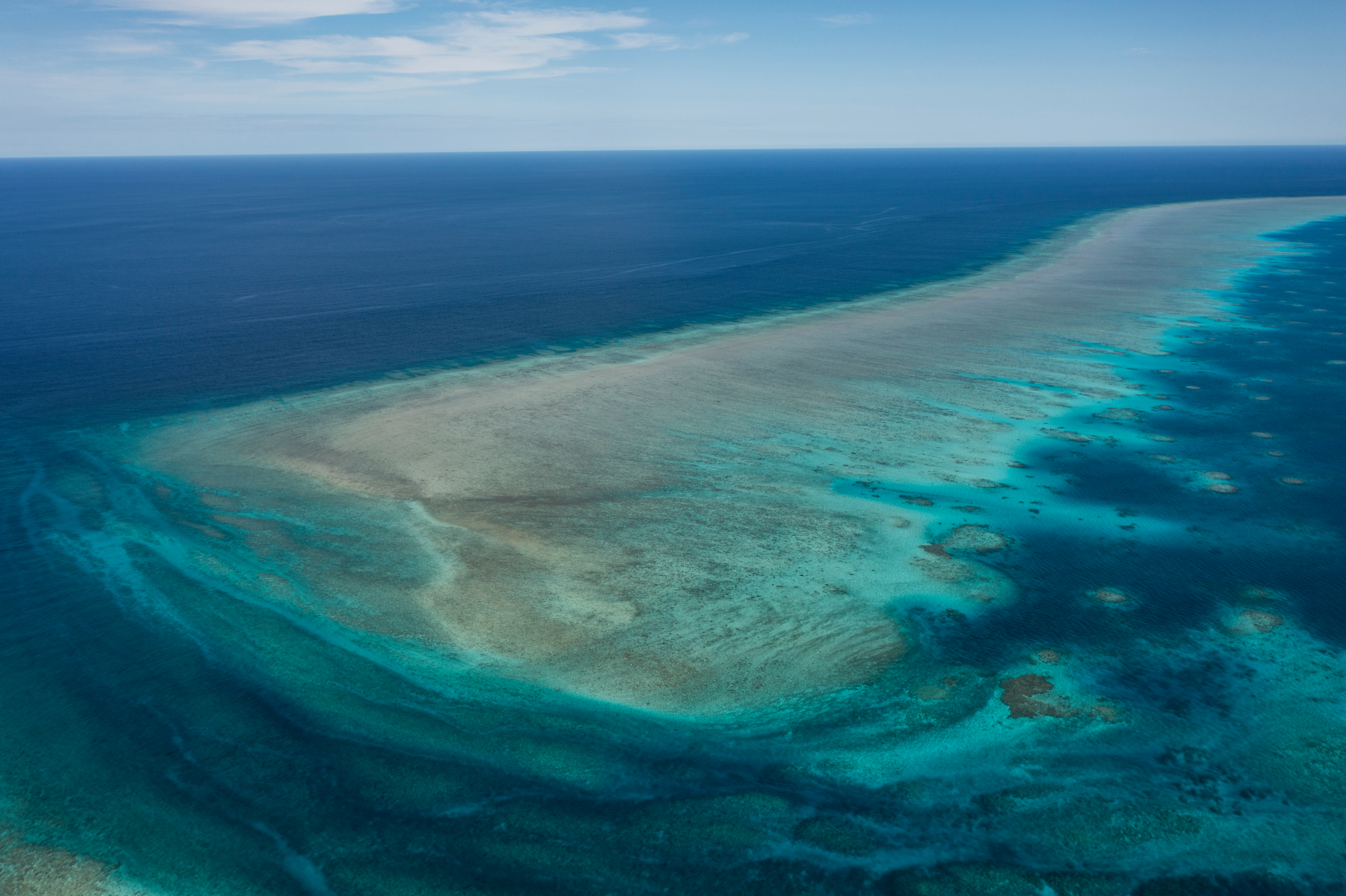 Woodside’s Browse Gas Project ‘disastrous’ for Scott Reef episode artwork